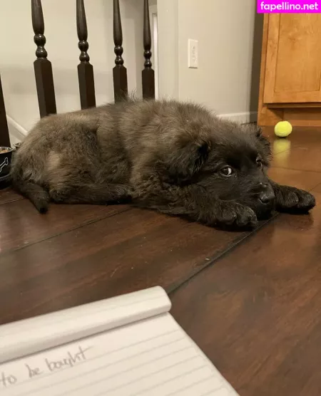 Summerreese OnlyFans Thumbnail #4DKGvacN6j