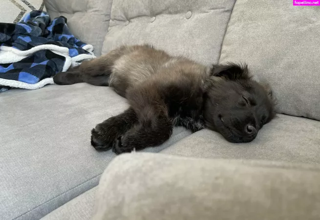 Summerreese OnlyFans Thumbnail #q5gRsW99gi