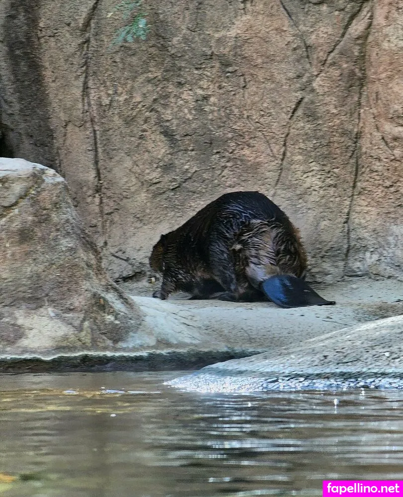 summah_breeze, sumstunna Nude Leaked OnlyFans Photo #PiGgSw0Anw