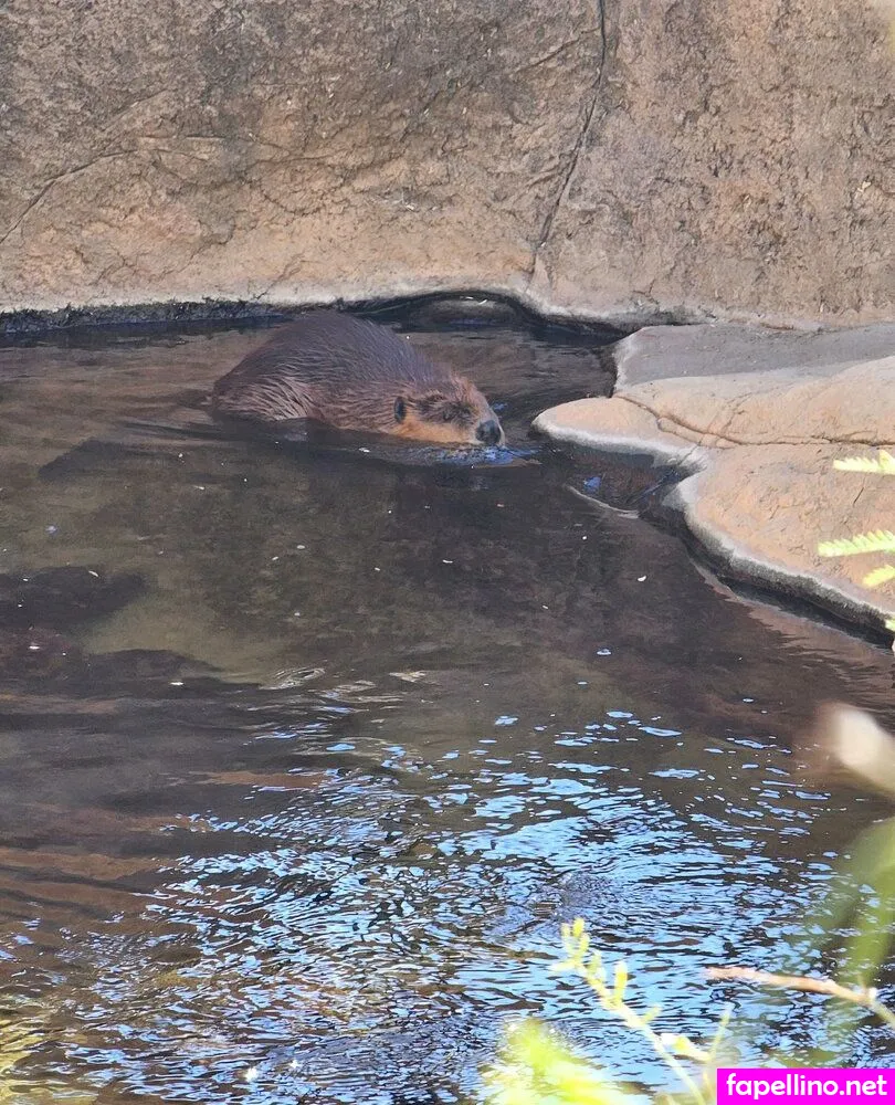 summah_breeze, sumstunna Nude Leaked OnlyFans Photo #mrpS2W3FBI