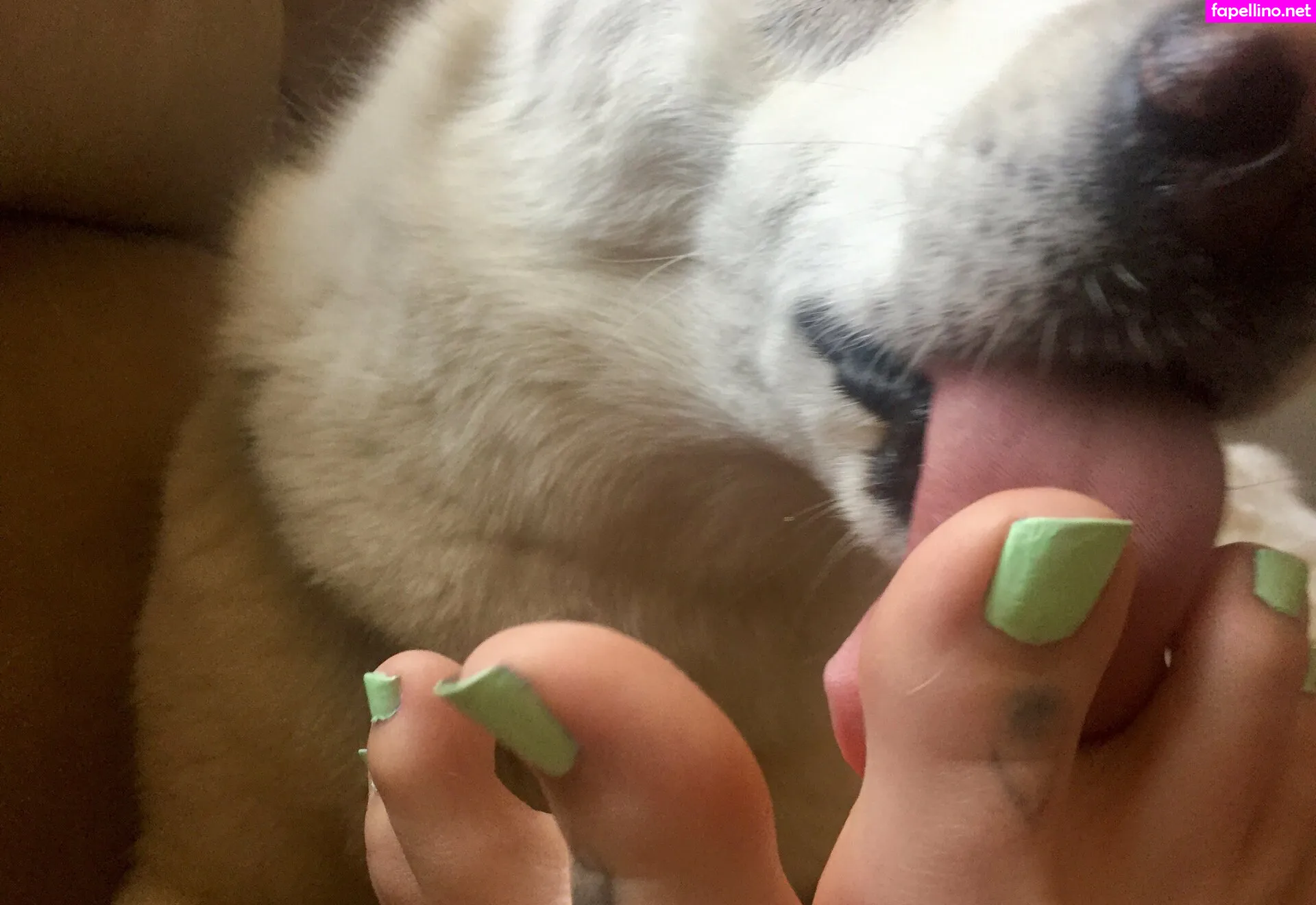 sunni.footplay, sunni.soless Nude Leaked OnlyFans Photo #3vBSFPG4Fs