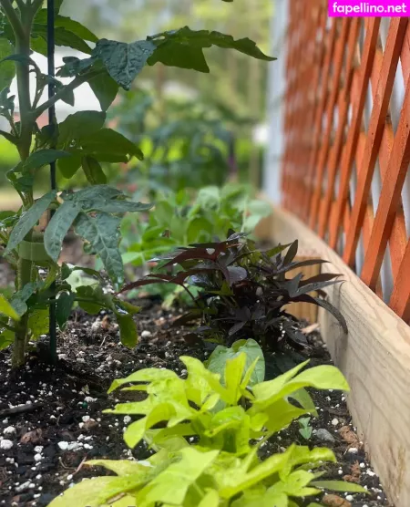 Sunniestreamsfree OnlyFans Thumbnail #AjrqsUPfRG