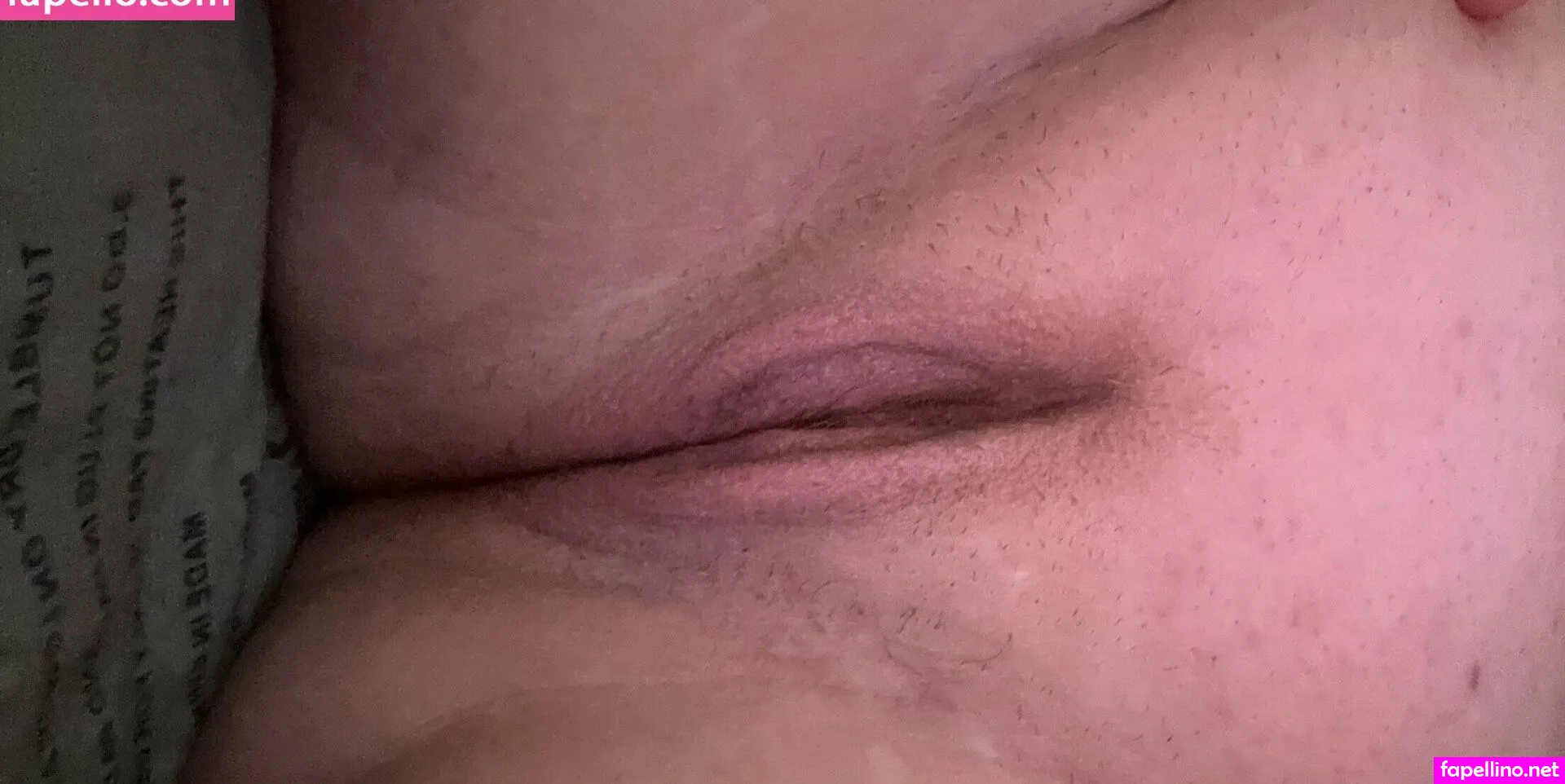 sunnipup Nude Leaked OnlyFans Photo #qpIWNEvgSO