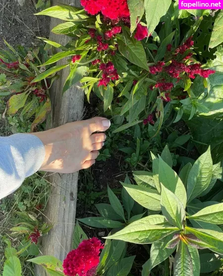 Sunnymei OnlyFans Thumbnail #isCQBH3mxg