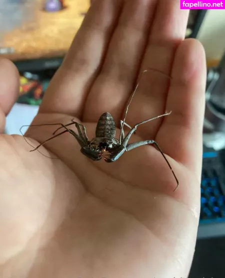 Sushisquishy OnlyFans Thumbnail #AzLppMEAKg