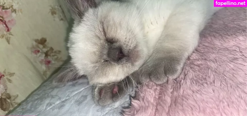 Suzan9 OnlyFans Thumbnail #yCv6ujAvAg