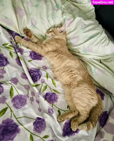 Suzanna De Rose OnlyFans Thumbnail #V0Nv9hsUCT