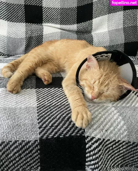 Suzanna De Rose OnlyFans Thumbnail #VAqM9rWnpF