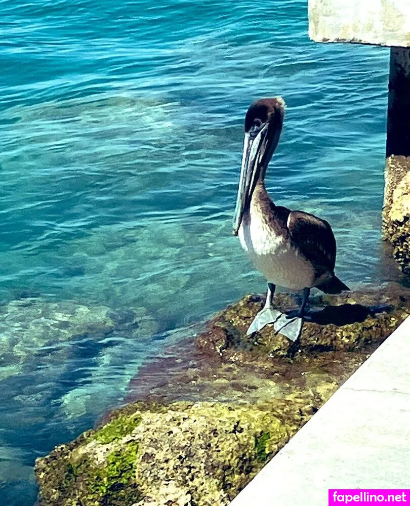 bayoubarbeee, https:, swampbarbieofficial Nude Leaked OnlyFans Photo #Qq3EQLVyY8