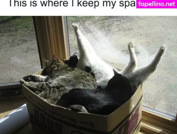 Sweet Kte OnlyFans Thumbnail #xsN19zds03