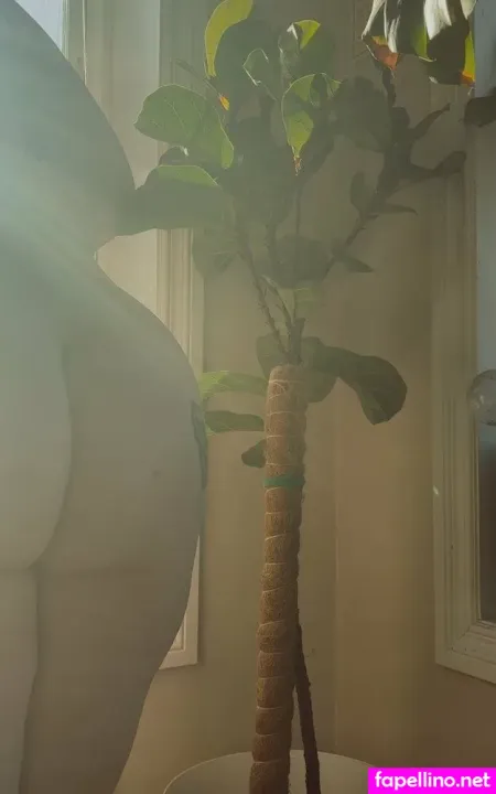 Sweetbabybug OnlyFans Thumbnail #aiJfDLoo5X