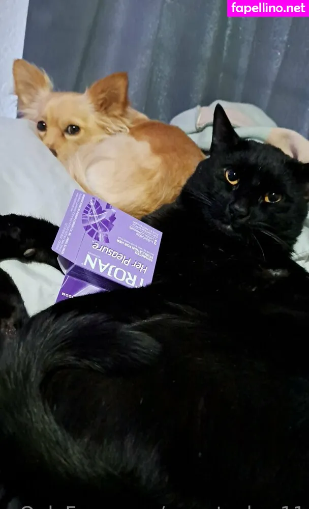 sweetcakes11, sweetcupcakes11 Nude Leaked OnlyFans Photo #81PtsDHb79