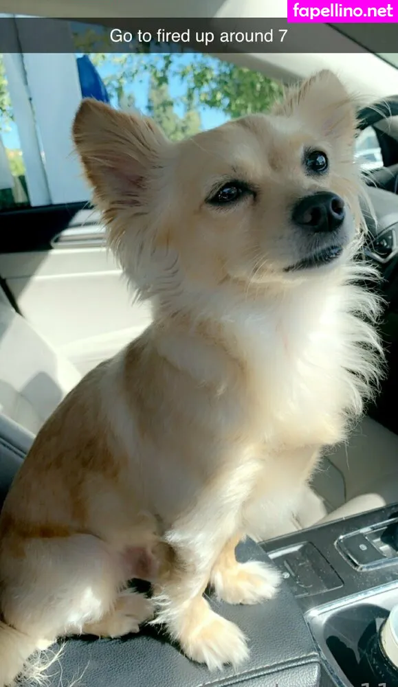 sweetcakes11, sweetcupcakes11 Nude Leaked OnlyFans Photo #J3VKtm0cKO