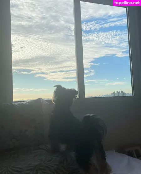 Sweetclassyfree OnlyFans Thumbnail #Dq1YVyBtaf