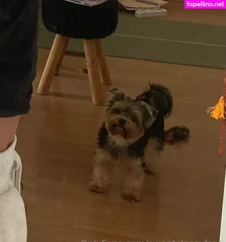 Sweetclassyfree OnlyFans Thumbnail #ZvHSvt25fR