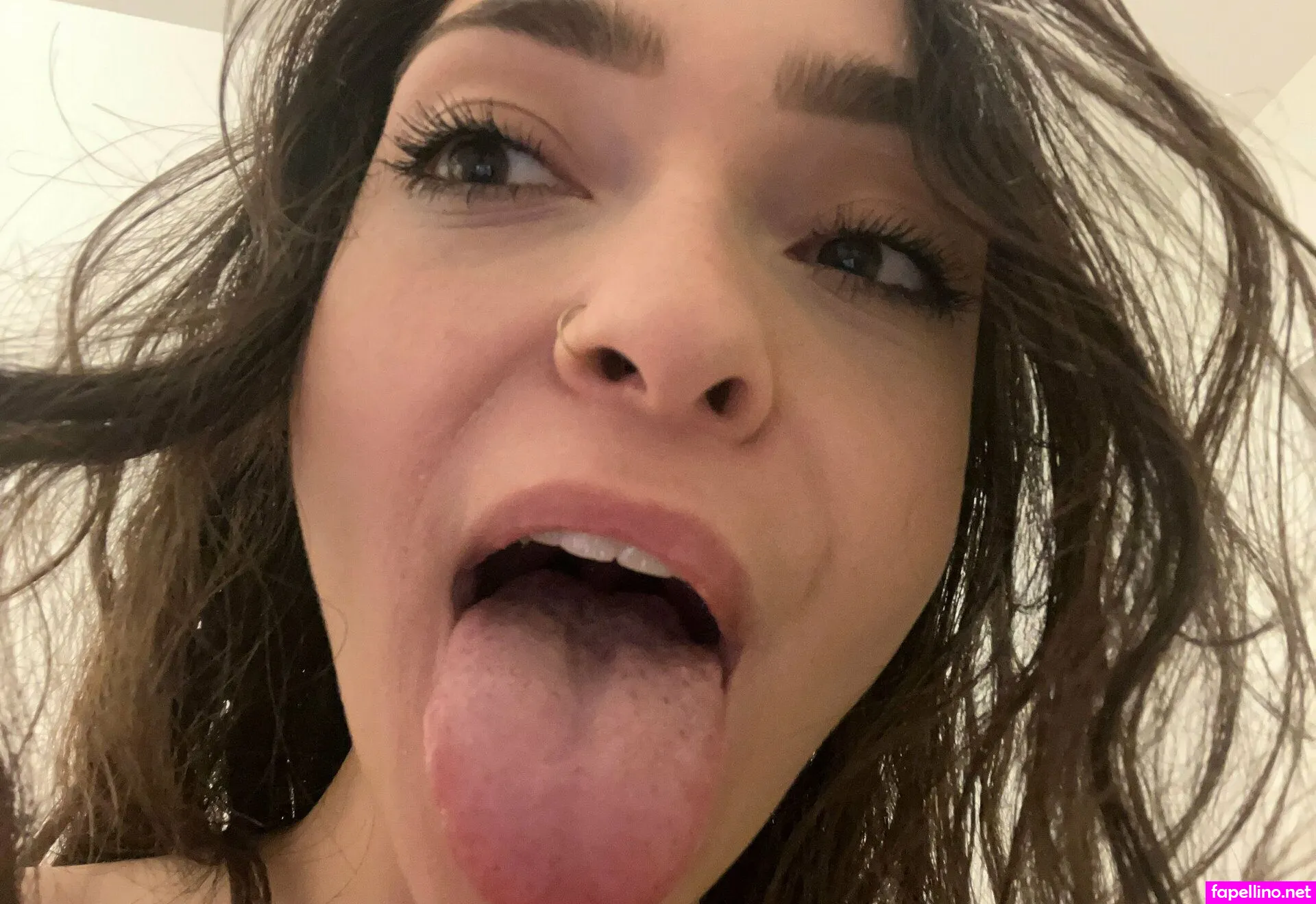 officialsweetterry, sweetterry Nude Leaked OnlyFans Photo #unj0XFEMWE