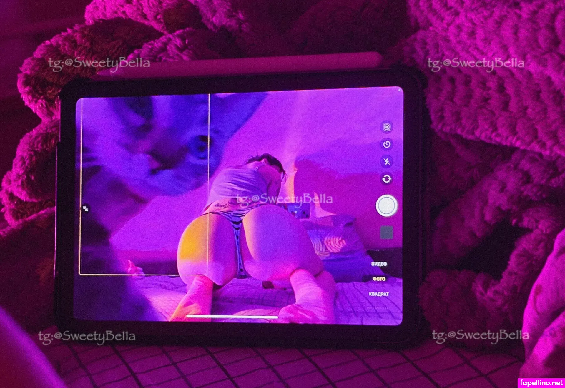 SweetyBe11a, _sweety_bella Nude Leaked OnlyFans Photo #CjntIaIOOO