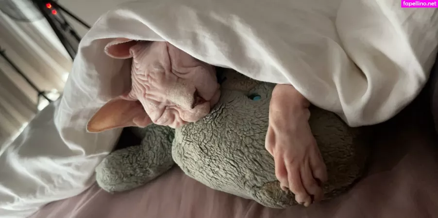 Sxvvk OnlyFans Thumbnail #di9D3Ne7me