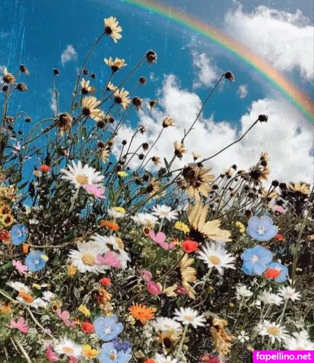 Syrenserene OnlyFans Thumbnail #1gkSbUobA6