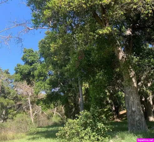 Syrenserene OnlyFans Thumbnail #Os8ZzW6s1t