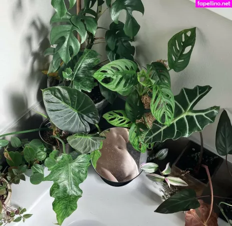 T4ych4 OnlyFans Thumbnail #b5UhlHSxZz