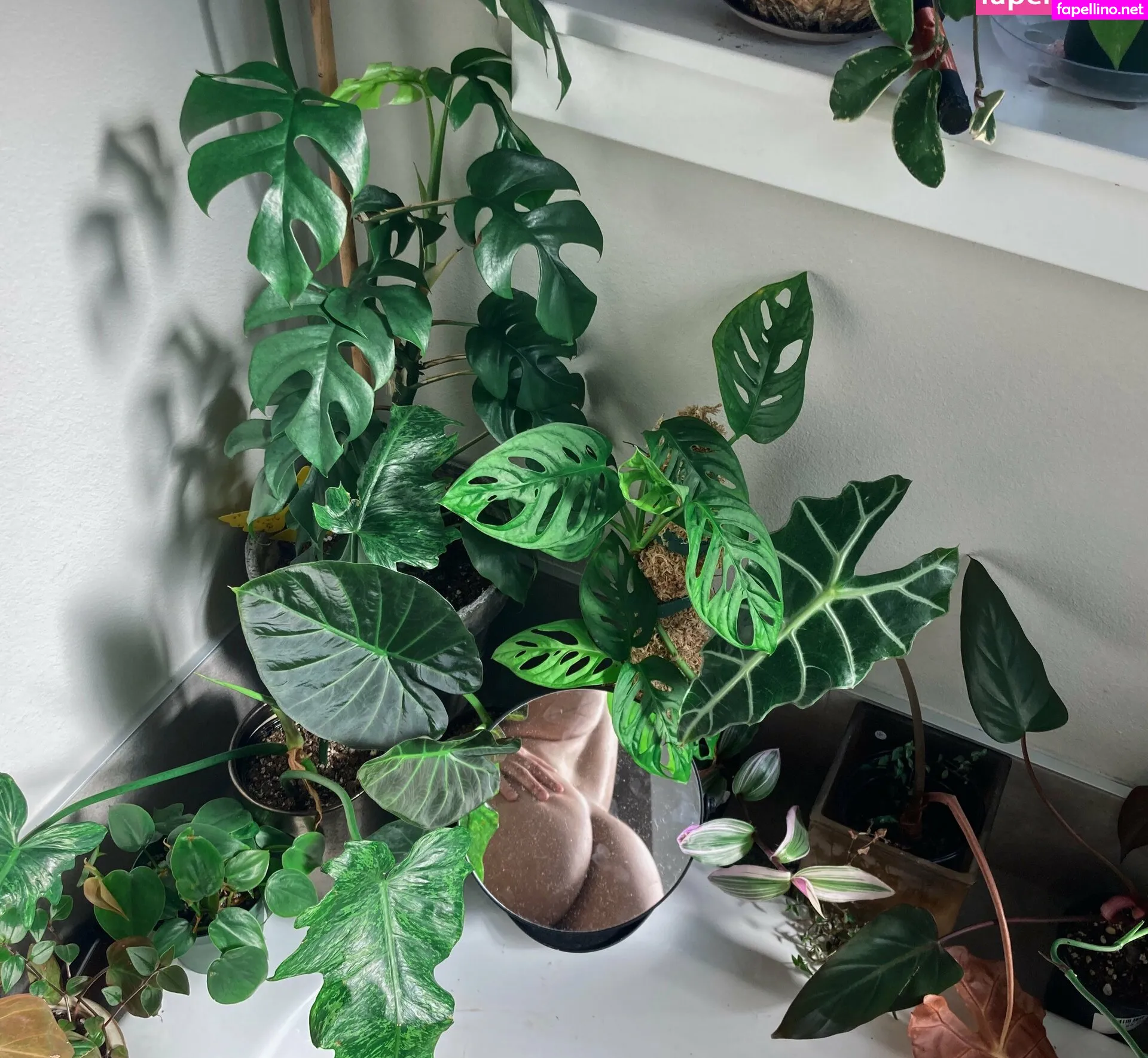 t4ych4, t4ysh4w Nude Leaked OnlyFans Photo #xP4qePjgK5