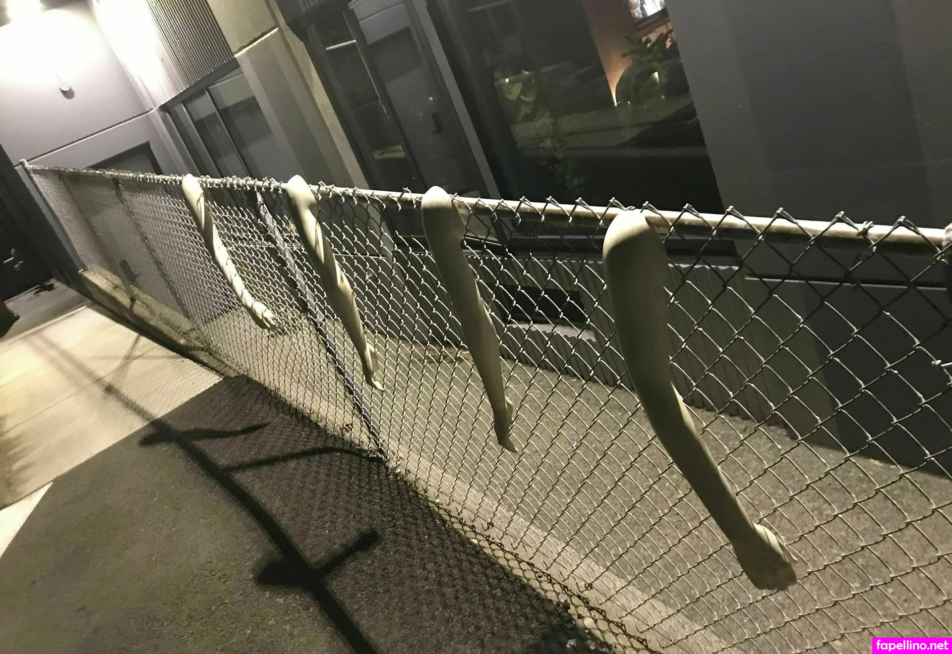 tacoma_arms, tacomaarms Nude Leaked OnlyFans Photo #jgWGpMSnff