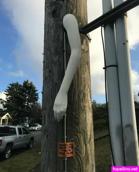 Tacomawa OnlyFans Thumbnail #6zzrRFVPx2