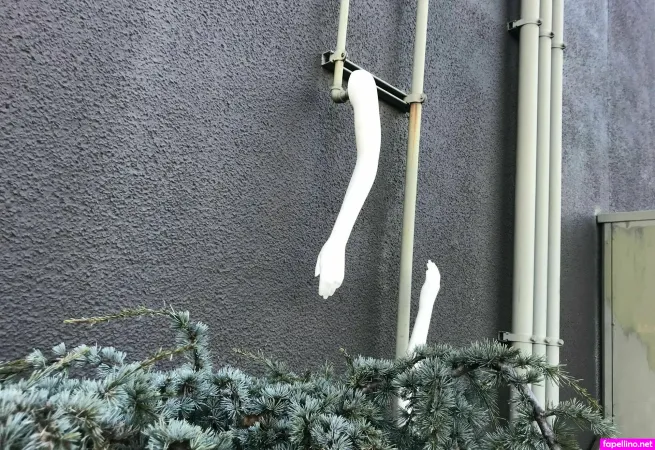 Tacomawa OnlyFans Thumbnail #j9Q10Gpava