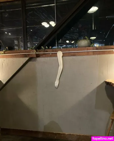 Tacomawa OnlyFans Thumbnail #jizJ8rIGd9