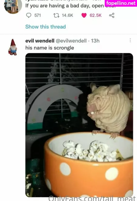 Tail Meat OnlyFans Thumbnail #cQK3qiZJyv