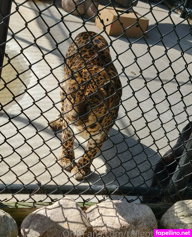 tallgothbabe14 Nude Leaked OnlyFans Photo #RVN2E148Pp