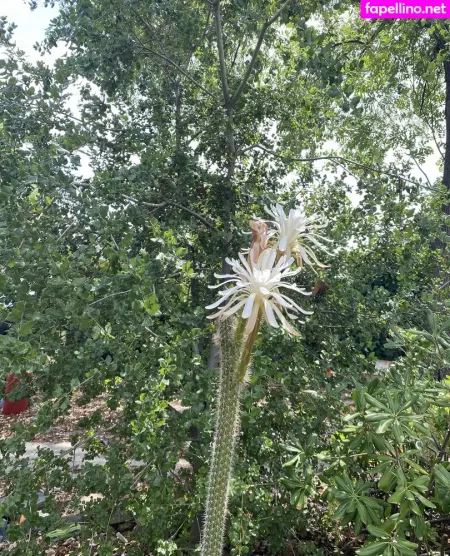 Tallielorain OnlyFans Thumbnail #6O3D3hw6ww