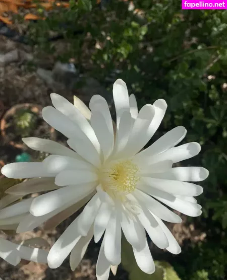 Tallielorain OnlyFans Thumbnail #JWKLQbn0mp