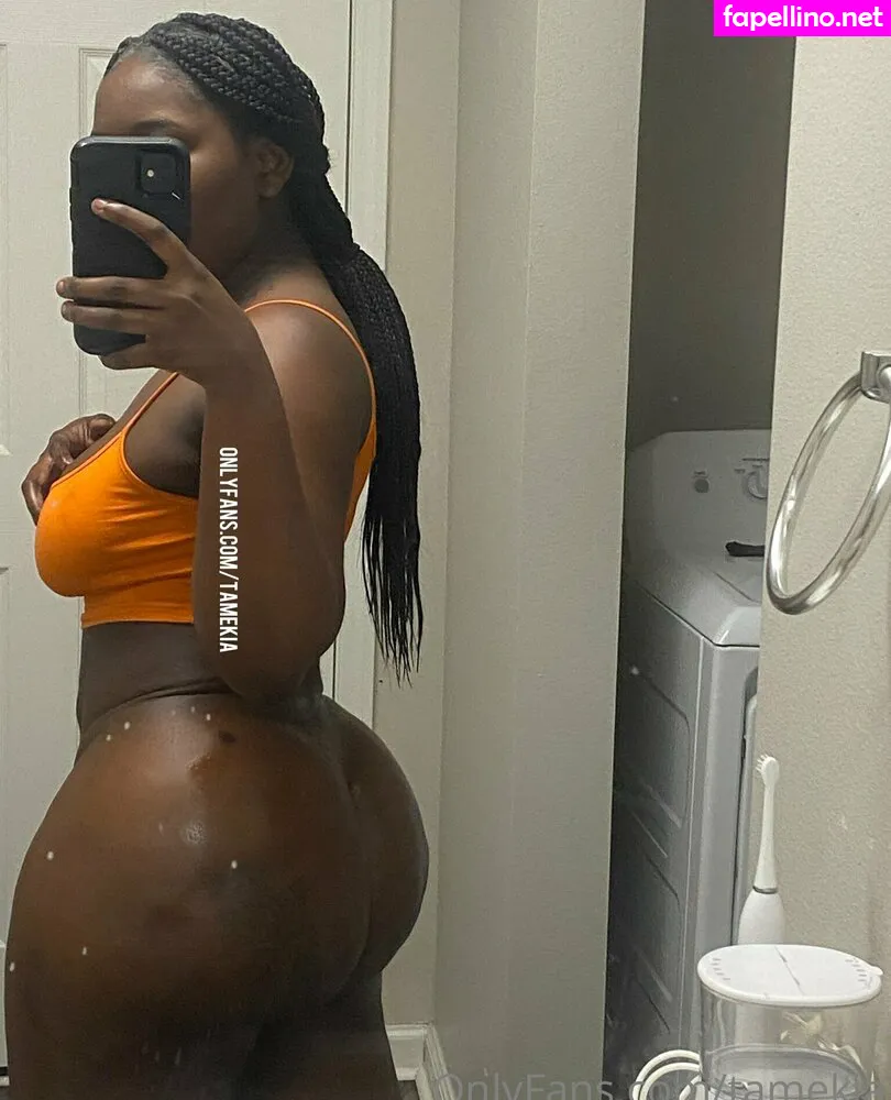 Tamekiaaa__, lexi2thick, tamekia, tamekia.tamekia Nude Leaked OnlyFans Photo #a6svNhNJET