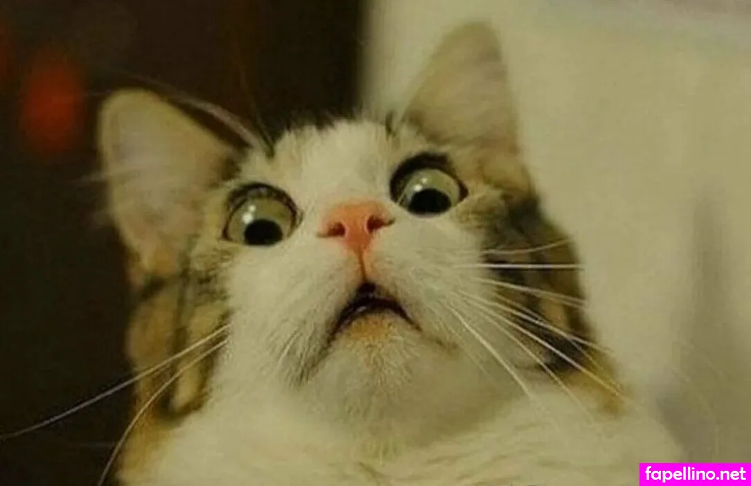 tamsynkelly Nude Leaked OnlyFans Photo #dIEaK5WoIZ