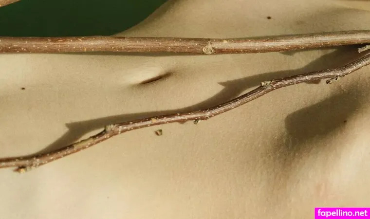 Tanya Asmodeus OnlyFans Thumbnail #y82JO9E6Xj