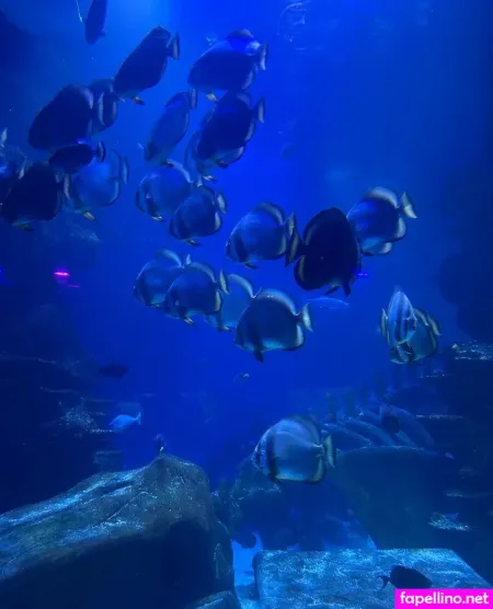 Tanyatate 3 OnlyFans Thumbnail #es2fghpYNC