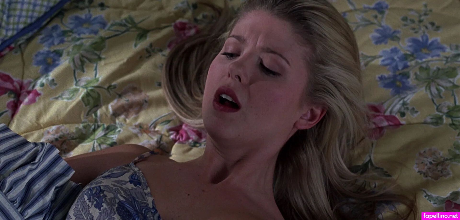 Tarareid Nude Leaked OnlyFans Photo #Cqwr920ocJ