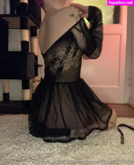 Tattooedbiatchfree OnlyFans Thumbnail #tTPEqVt61d