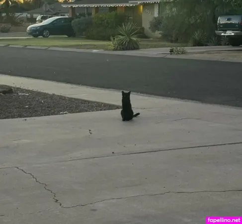 Tatum Jaeger OnlyFans Thumbnail #z98KMgyWrg