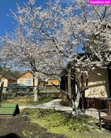 Taya Bliss OnlyFans Thumbnail #Y5L5yvJHiN