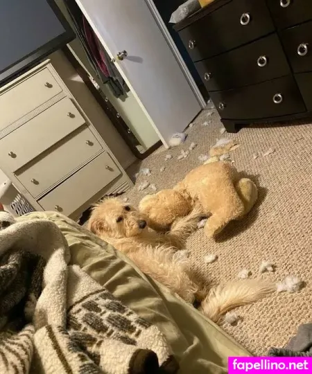 Taylor Domina OnlyFans Thumbnail #cy6fW6OVyI