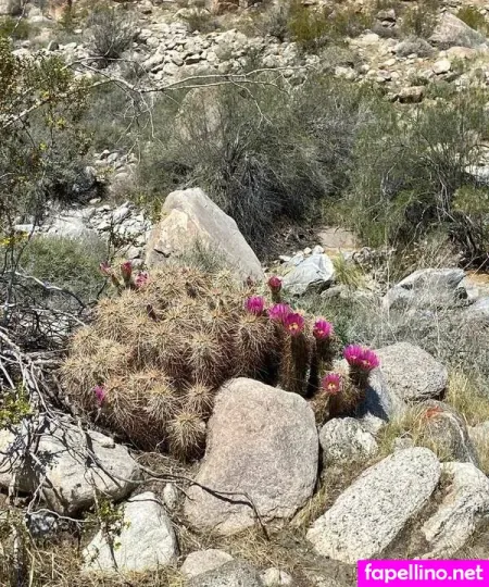 Taylor Rose OnlyFans Thumbnail #0X01WhVWY5