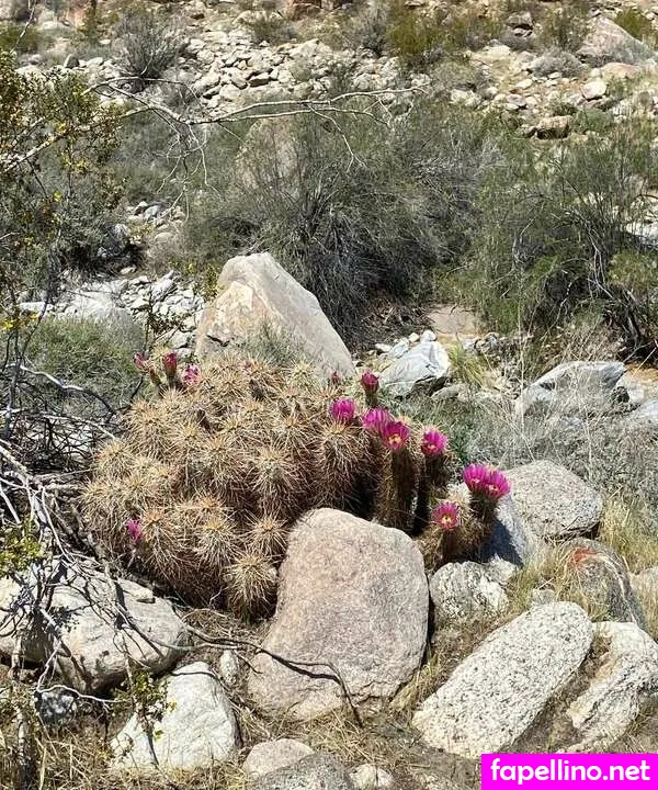 riel_rose, taylorrwiegert Nude Leaked OnlyFans Photo #0X01WhVWY5