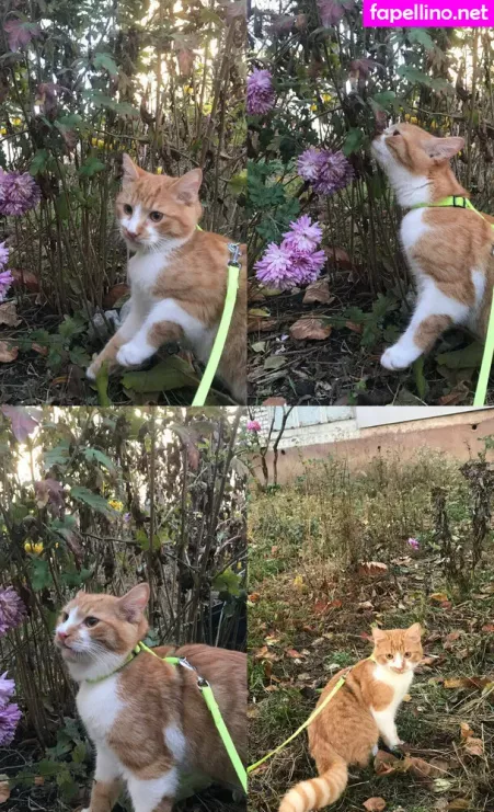 Technoprincesss OnlyFans Thumbnail #jINOgrernQ