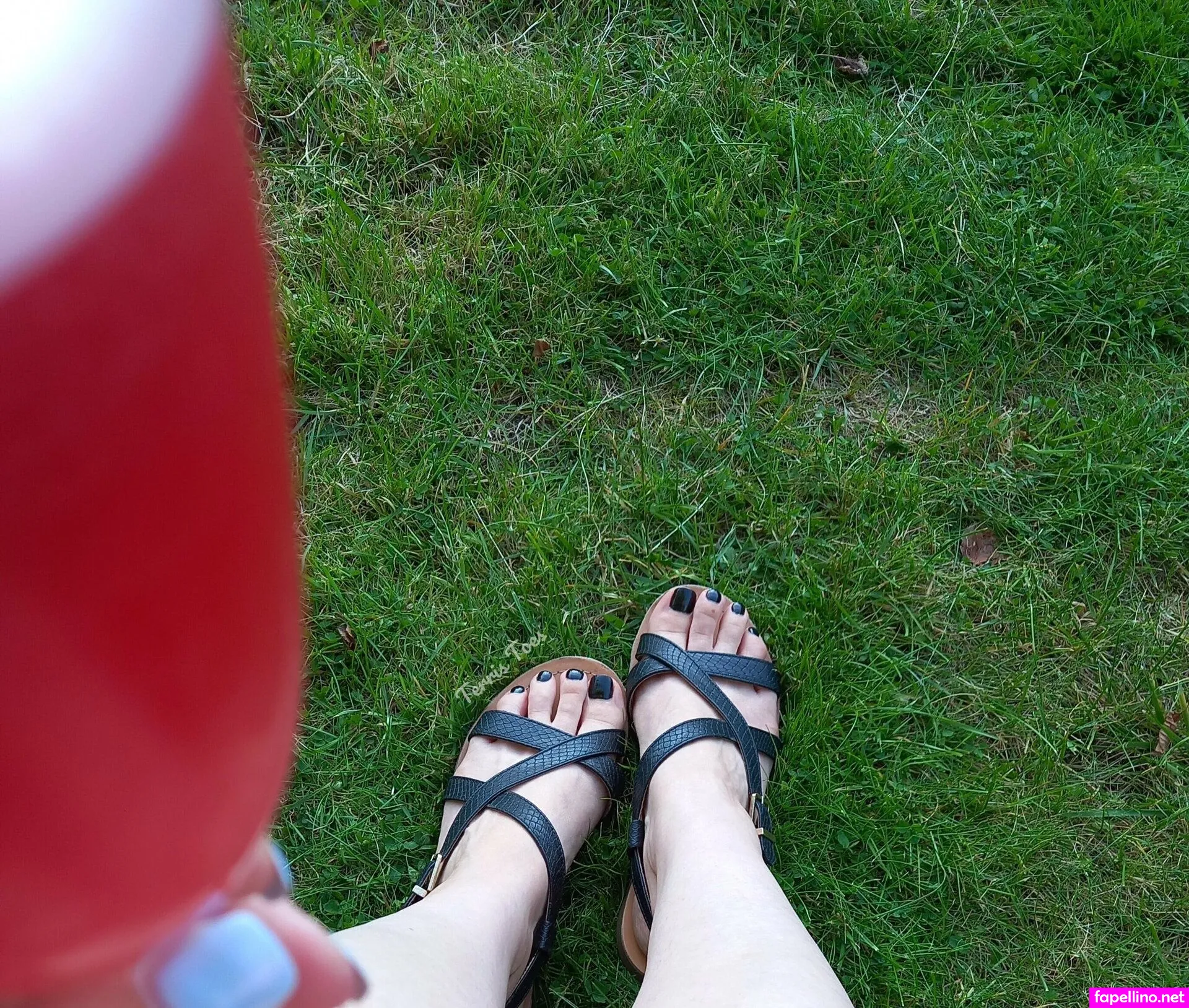 terris_toes, terristoesuk Nude Leaked OnlyFans Photo #V7MiGJKcax