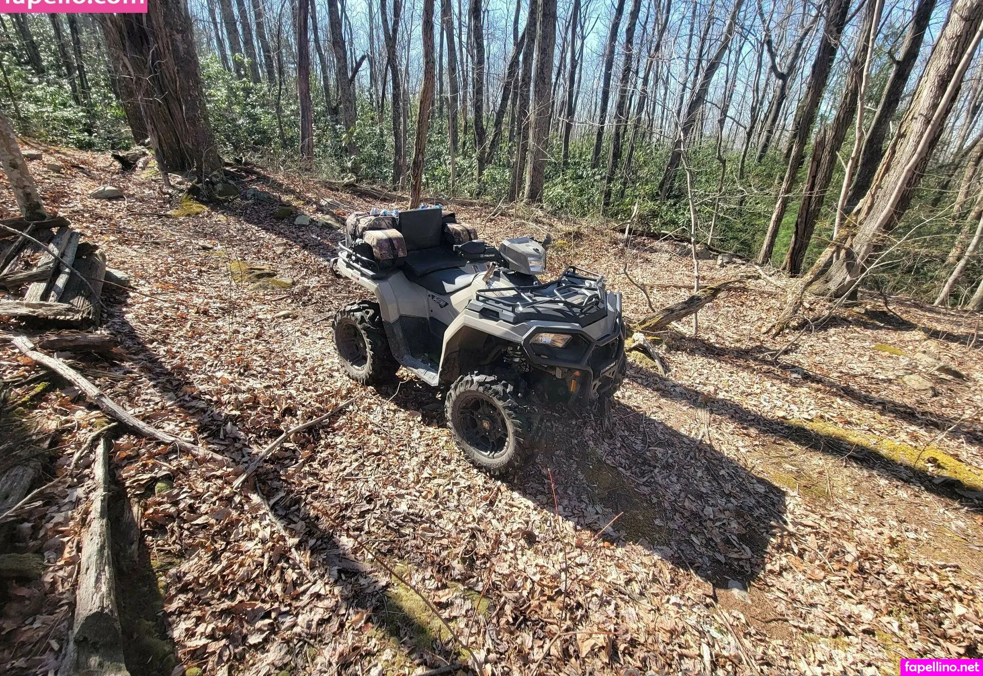 thatmattguy7, thatmtnguy Nude Leaked OnlyFans Photo #c0PKJ1kif7