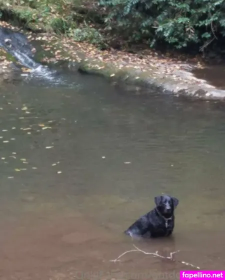 Thatmtnguy OnlyFans Thumbnail #kA4QnKbHQz