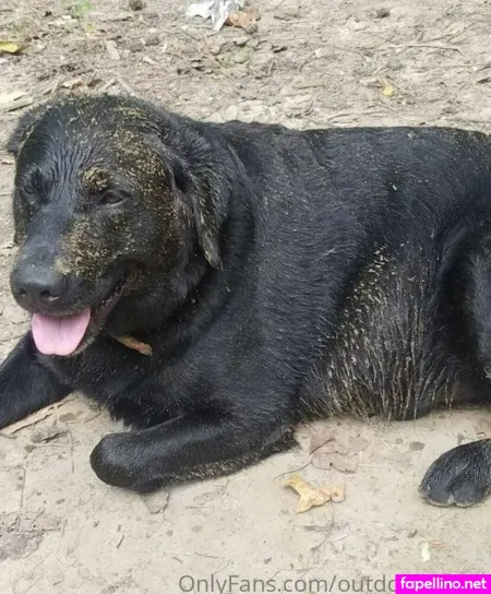 Thatmtnguy OnlyFans Thumbnail #rOWbs2NLlK